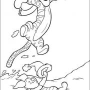 DIVERS