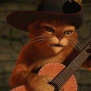 LE CHAT POTTE
