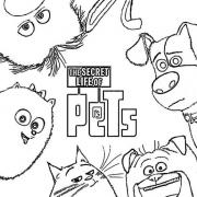  COLORIAGES