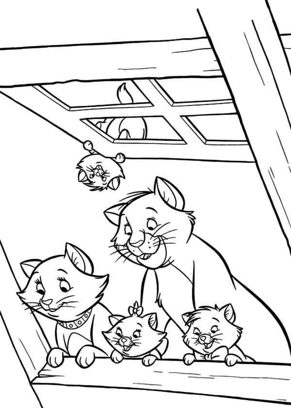  COLORIAGES