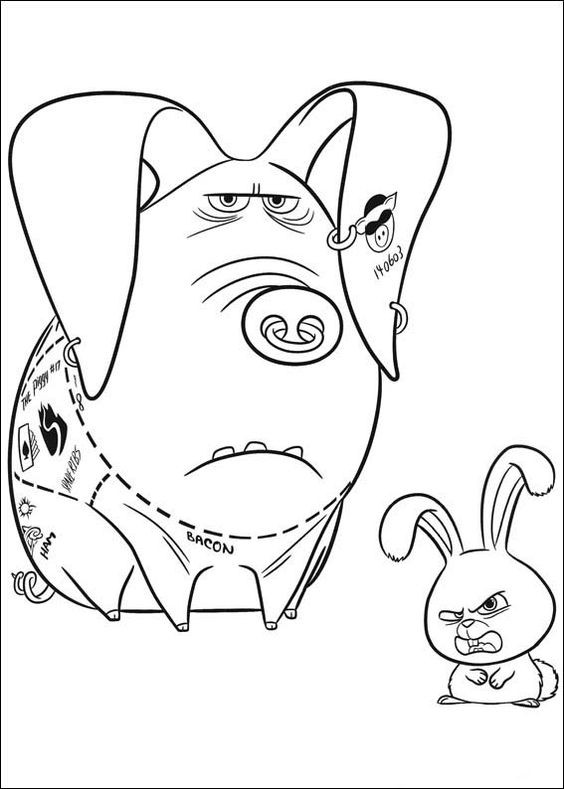  COLORIAGES