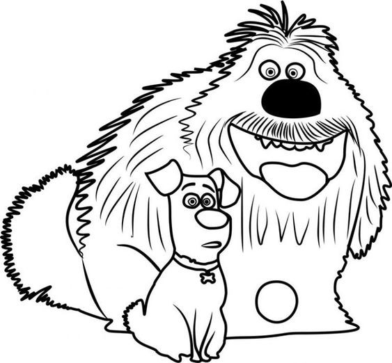  COLORIAGES