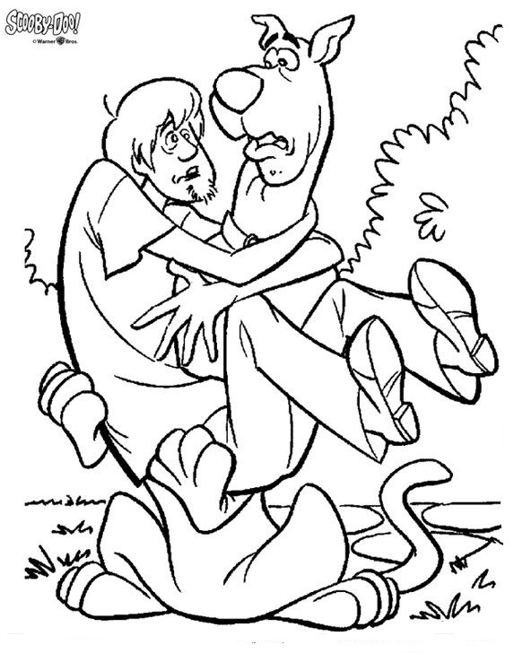  COLORIAGES