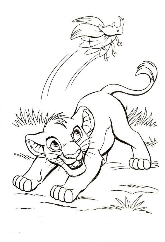  COLORIAGES