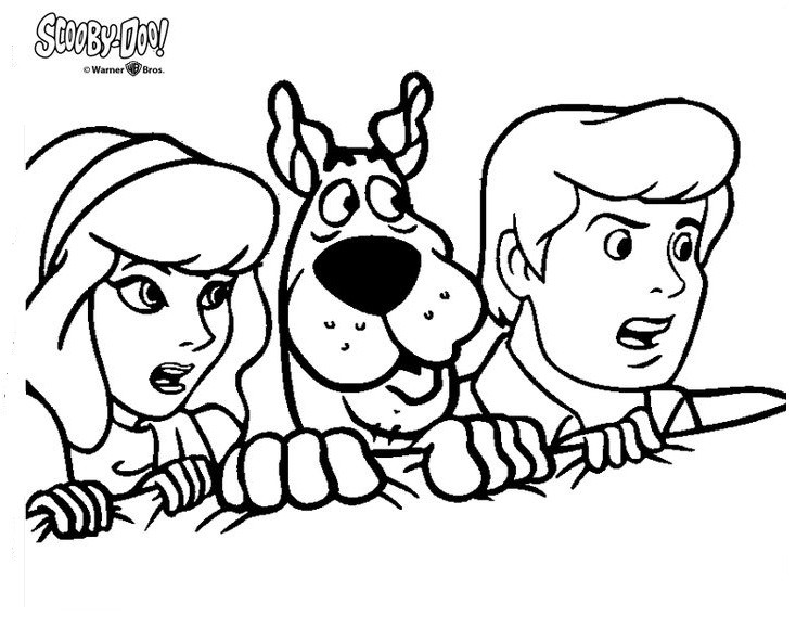  COLORIAGES