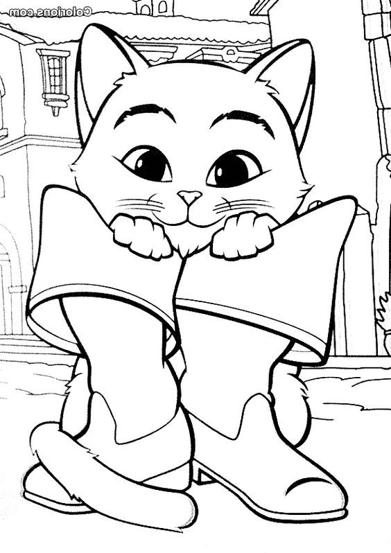 LE CHAT POTTE