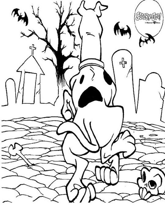  COLORIAGES