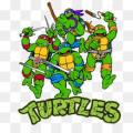 Ninja turtles png 5a3aa9c8a959a5 2506903115137939926937